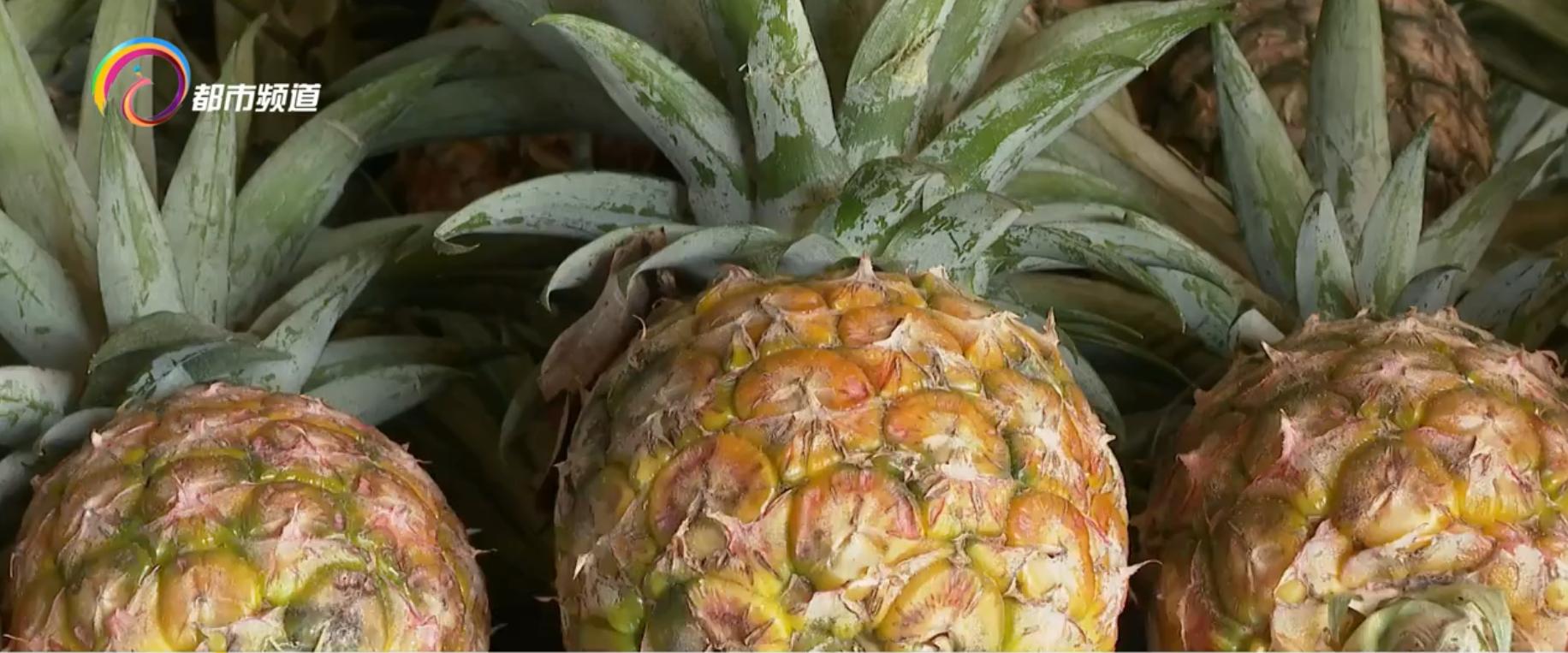 西双版纳的水果几月份成熟,西双版纳水果成熟季节