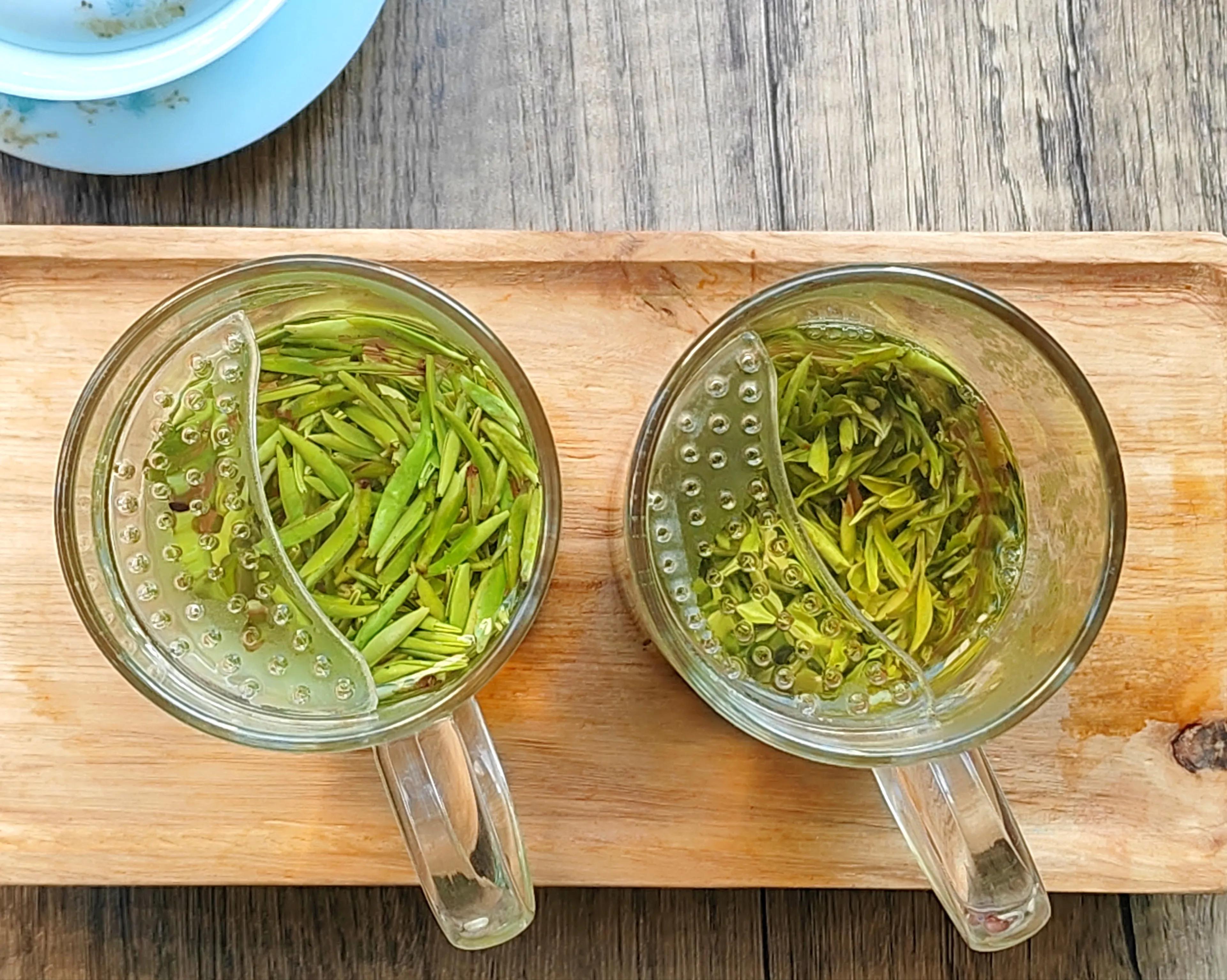 四川茶vs安徽茶,四川正宗天府龙芽茶