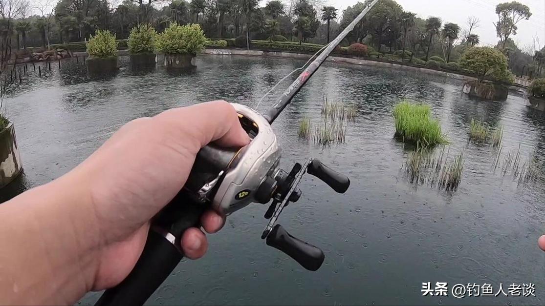 飞德鱼竿的特点,伽玛卡兹鱼竿有什么特点