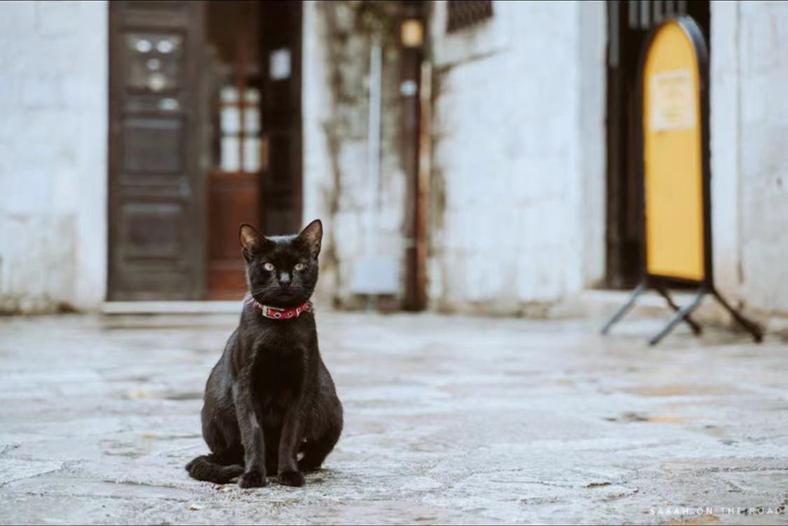 免签值得去的国家,对中国免签游玩最便宜的国家