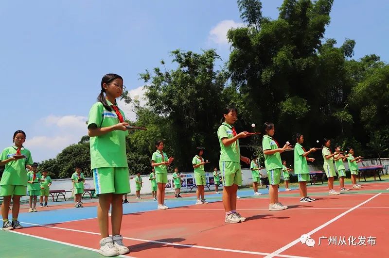 从零开始的逆袭之路,从二年级到五年级的逆袭