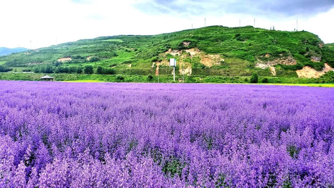 世间景，皆松潘！