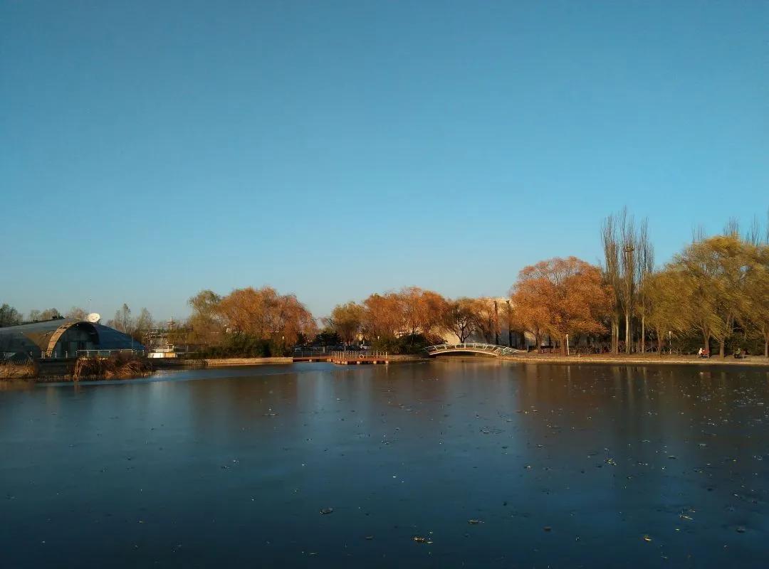 海淀公园相亲小程序,海淀公园相亲角