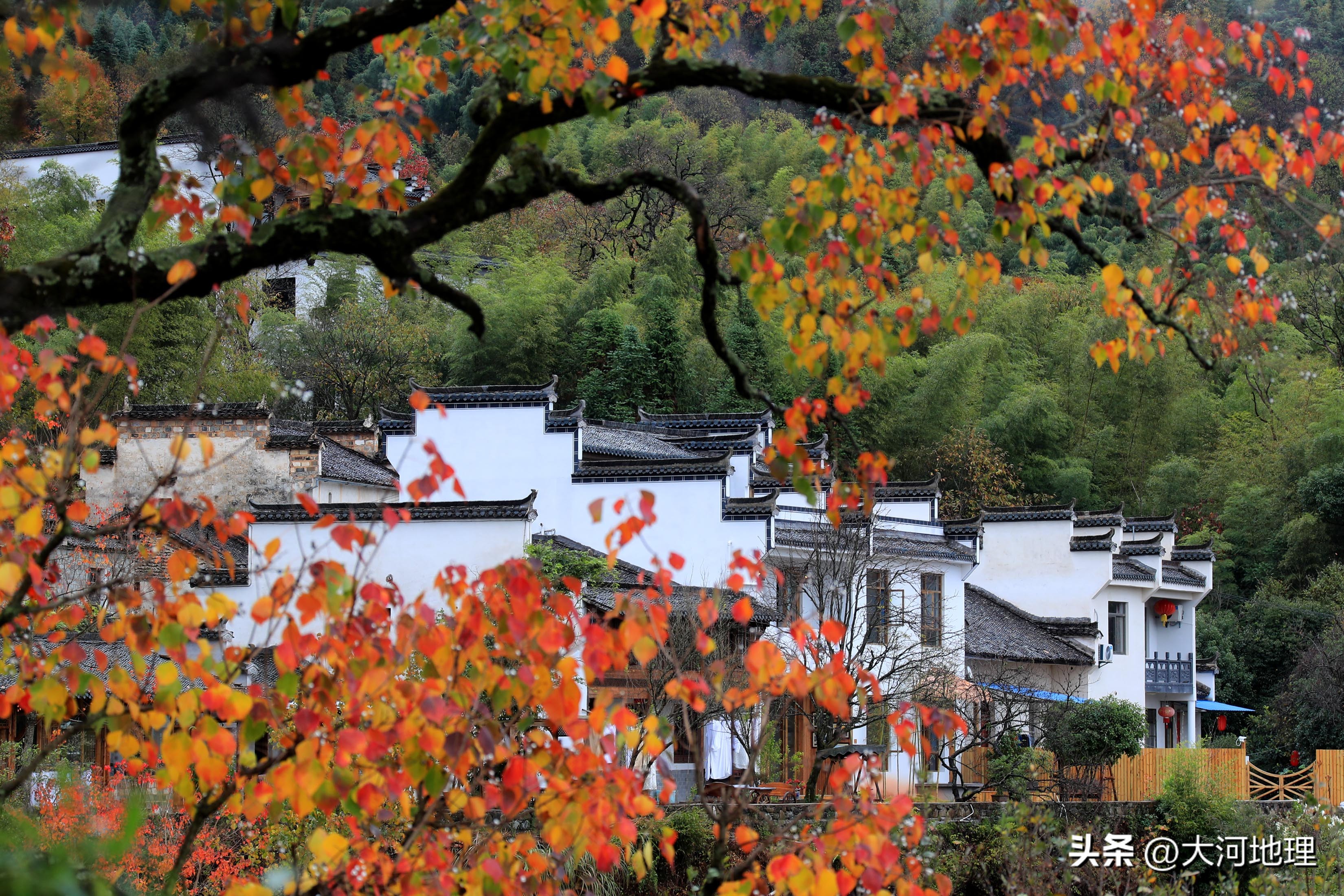 中国南方这30个景点,难说多知名,但敢说它的秋色最艳最浪漫