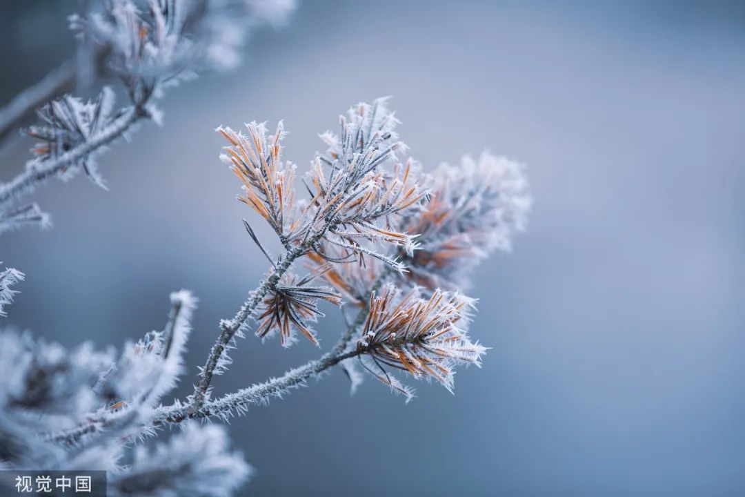 立冬阳光明媚好兆头诗词七律,最美立冬诗词15首未品浓秋已立冬