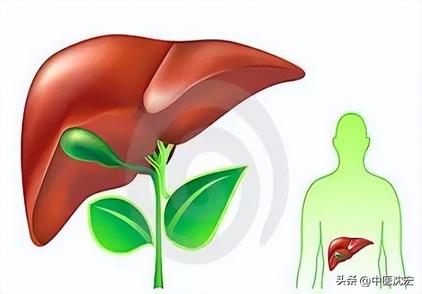 张锡纯治肝虚寒医案,养肝护肝的六味中药
