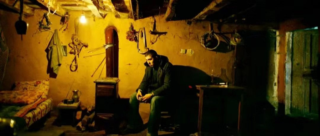 野梨树完整版免费观看,关于野梨树的电影