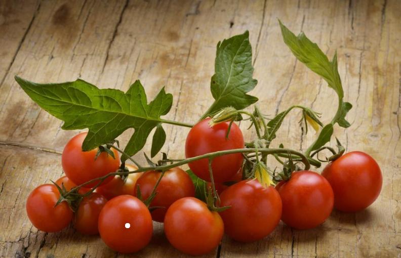 绉戞妧瑙ｇ爜浠庢瘨鏋滃埌缇庡懗鐣寗,浠庢瘨鏋滃埌缇庡懗鐣寗