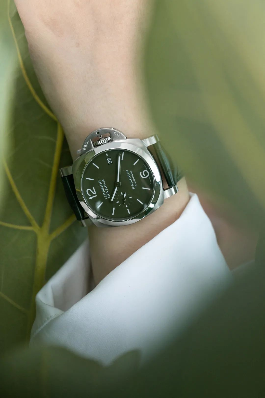 绿表为什么流行,为什么戴小绿表