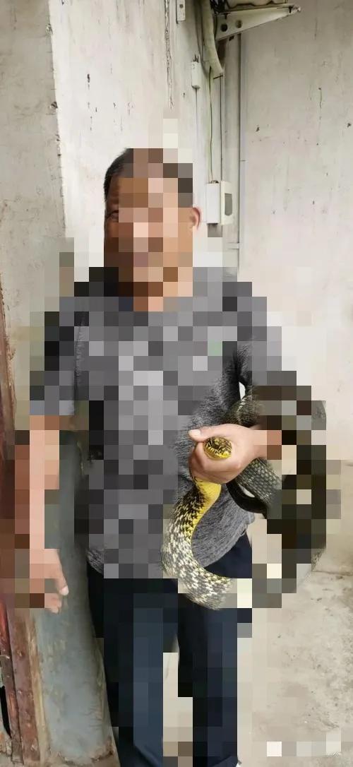 养1万条蛇一年的利润,养一万条蛇一年赚多少钱