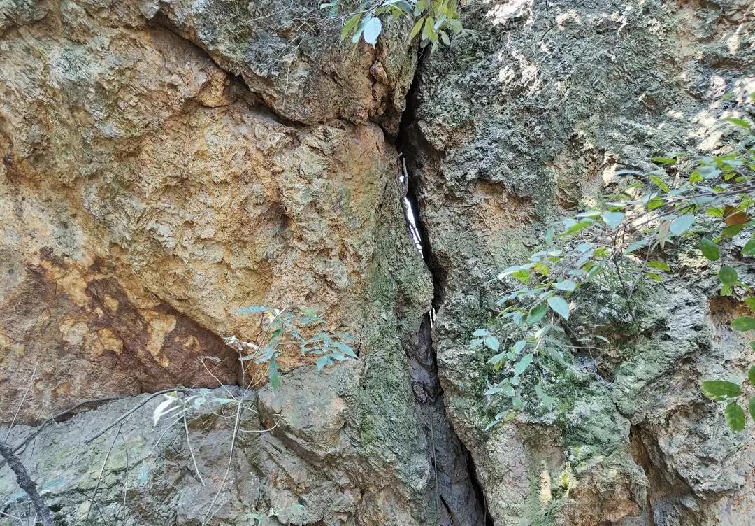 湖南宁乡道林镇,长沙市道林镇