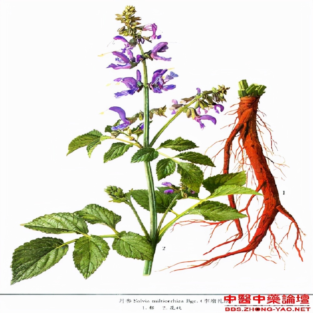 耳鸣耳聋特效中药,聪耳丸耳鸣耳聋特效方