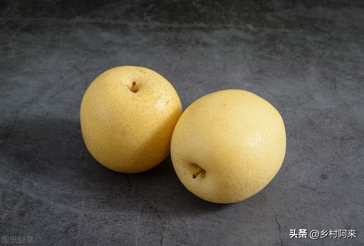 梨农村品种,农村最常见的梨子品种