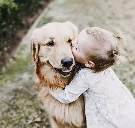 男童被狗咬掉颈,两岁儿童被狗狗咬了怎么办