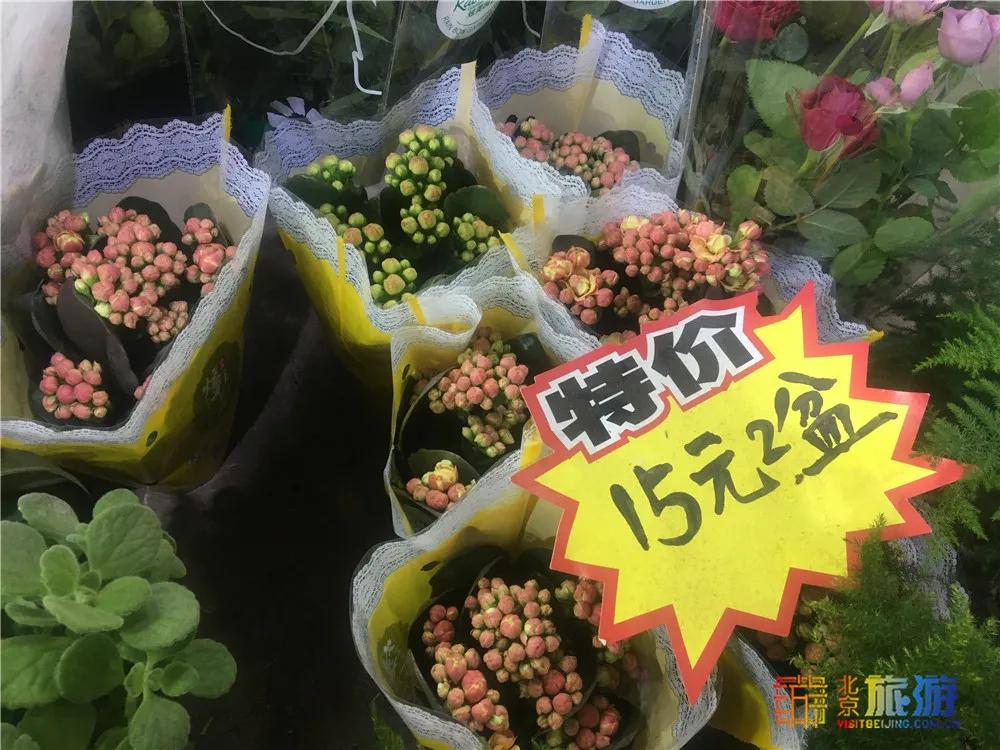 京南永清花卉批发市场,京南花卉批发市场