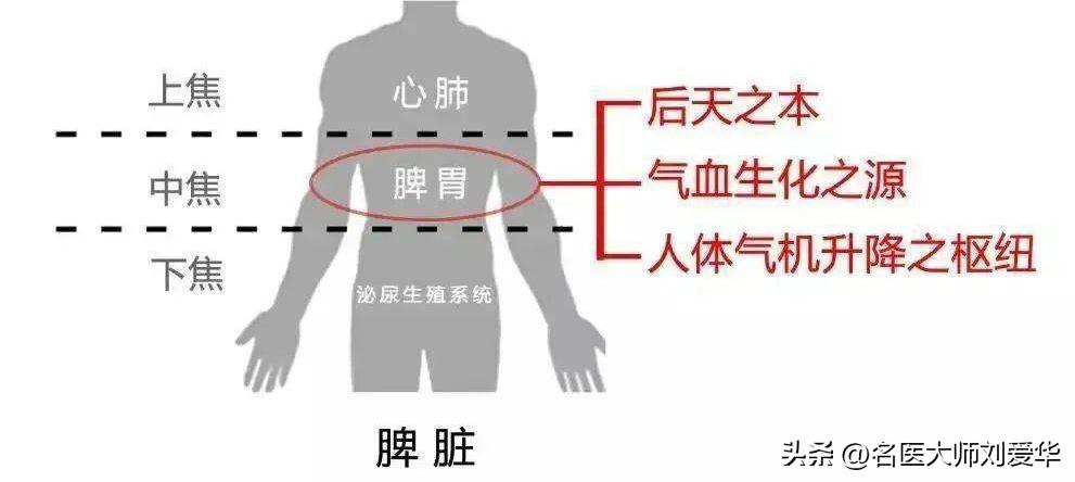 千古利水第一名方五苓散,五苓汤治水肿