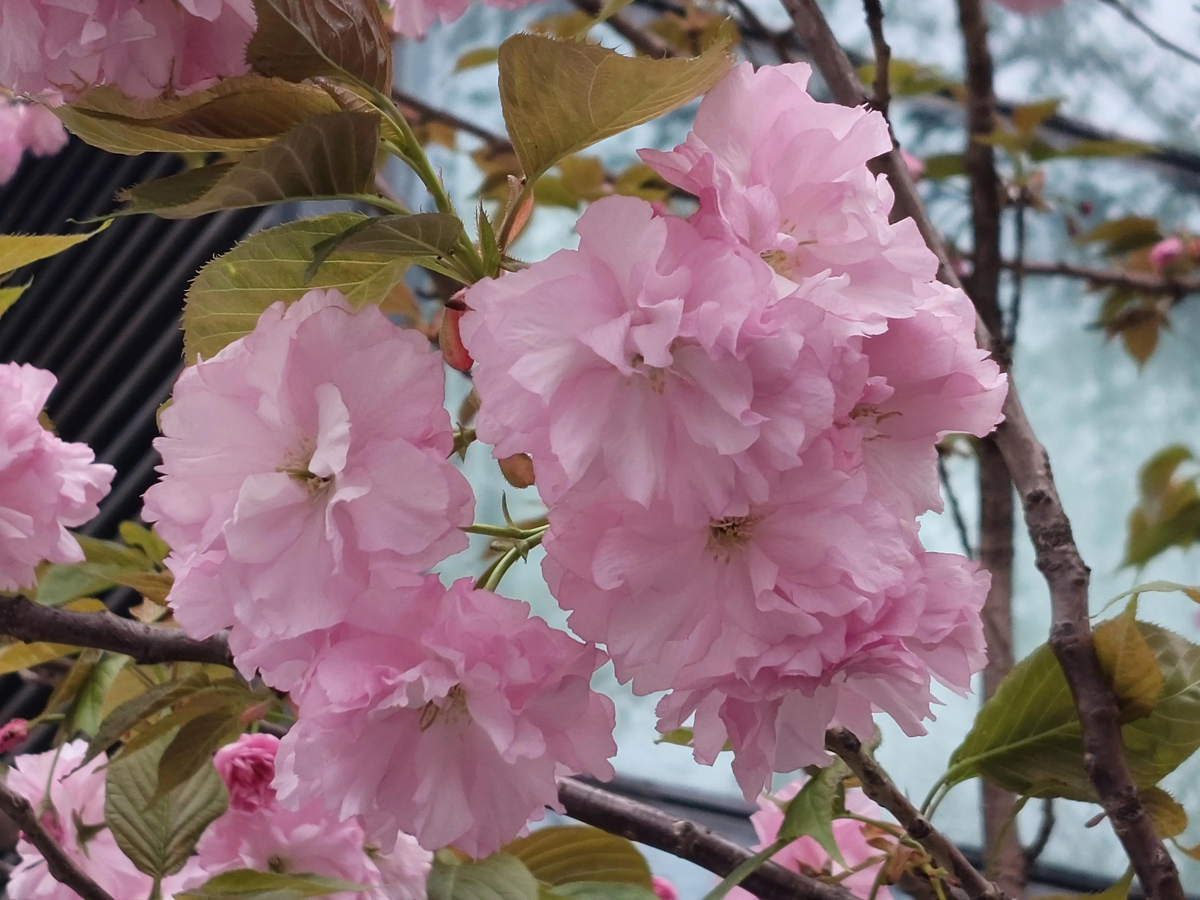 裁员后面试中问到离职原因,会计面试时被问到离职原因