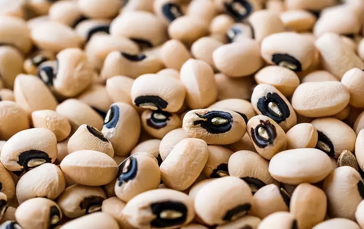 天然叶酸食物排行第9种,含叶酸最多的食物排行表