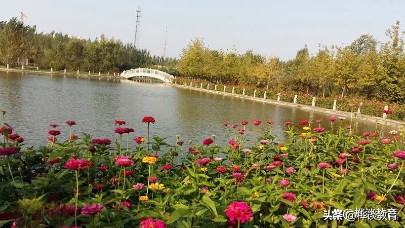 入警率高的分数低的本科警校,入警率高的警校2019录取分数线