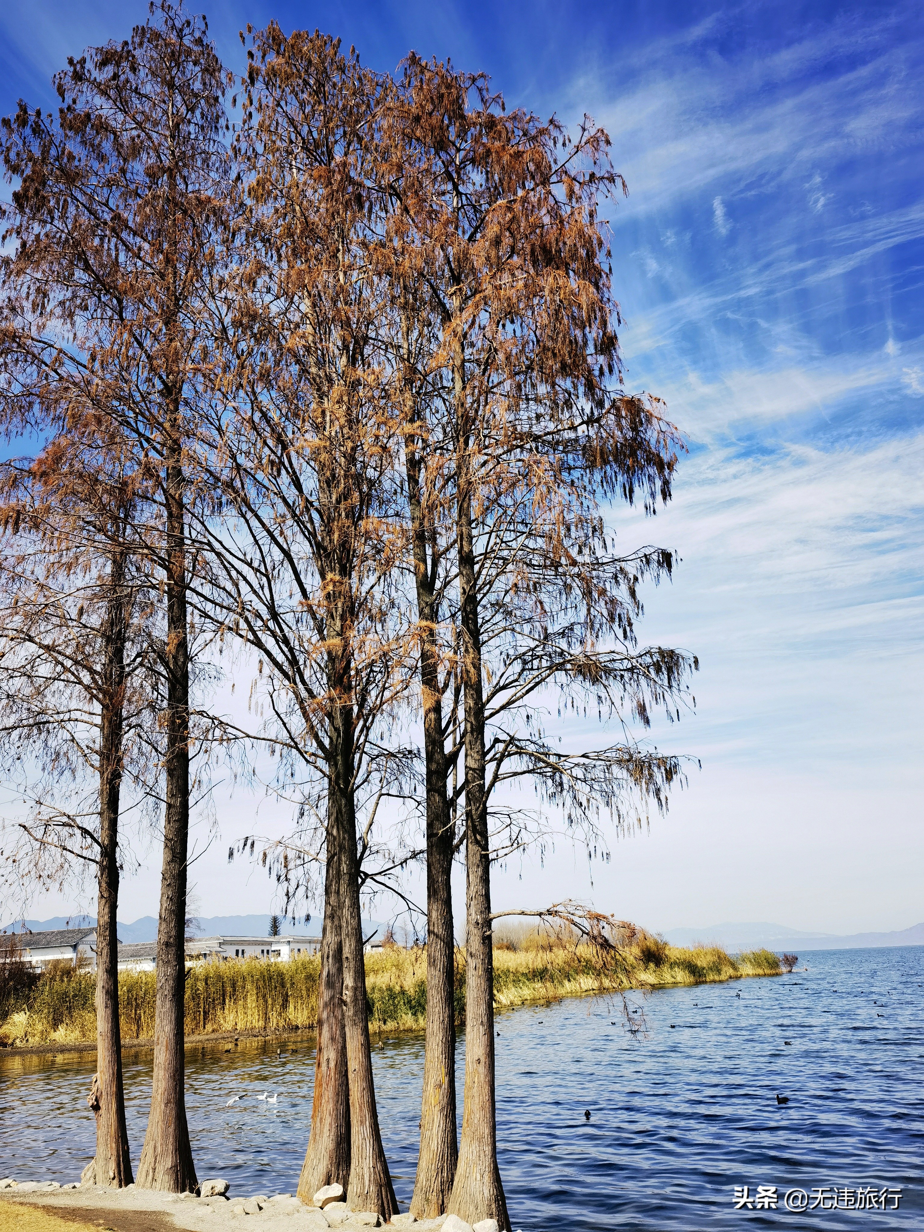 大理洱海龙龛码头看日出,大理洱海龙龛古渡风景