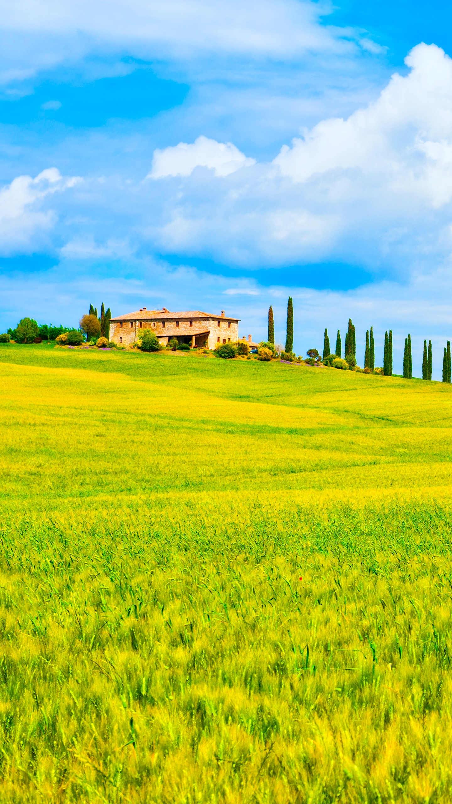 中国最美风景壁纸草原风景竖屏,山水风景1080*1920高清竖屏壁纸