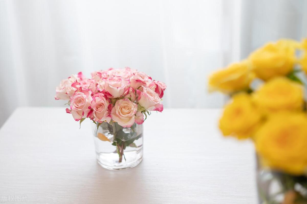 卖衣服的乐趣文案,买衣服的乐趣说说