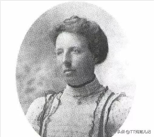 新西兰奇异果在苍溪进口吗,新西兰奇异果现在什么价位