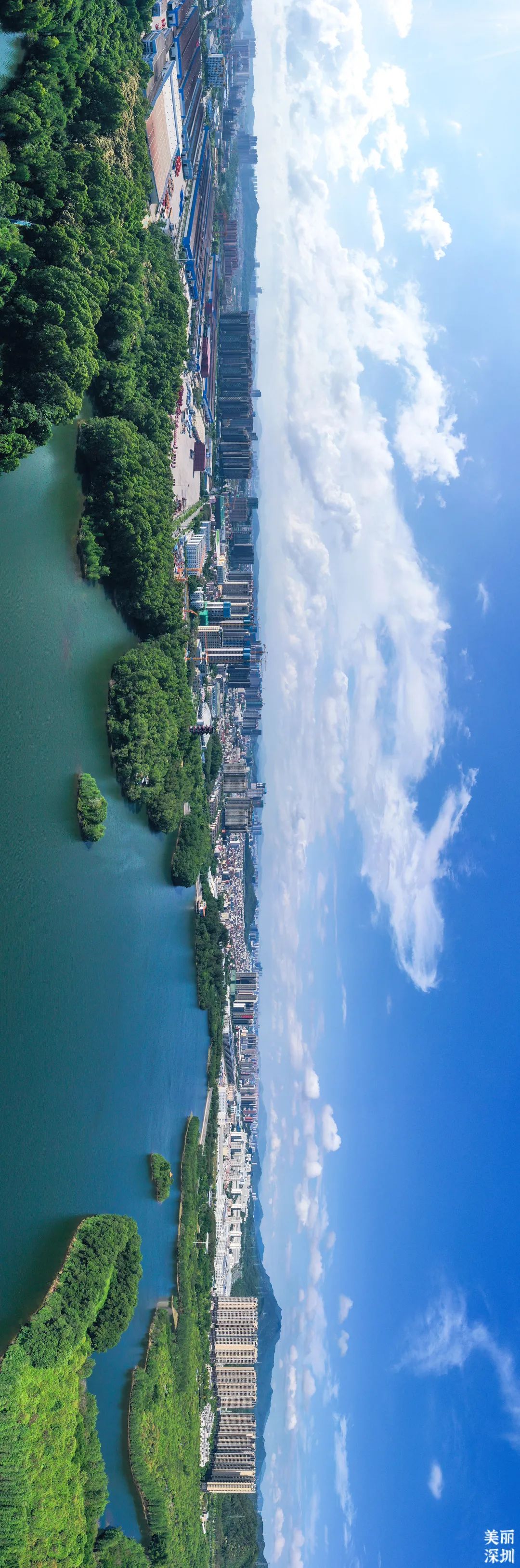 深圳莲花山公园航拍,航拍深圳凤凰山公园