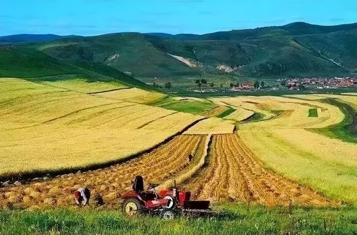 政策性农业保险怎么样,完善政策性农业保险机制