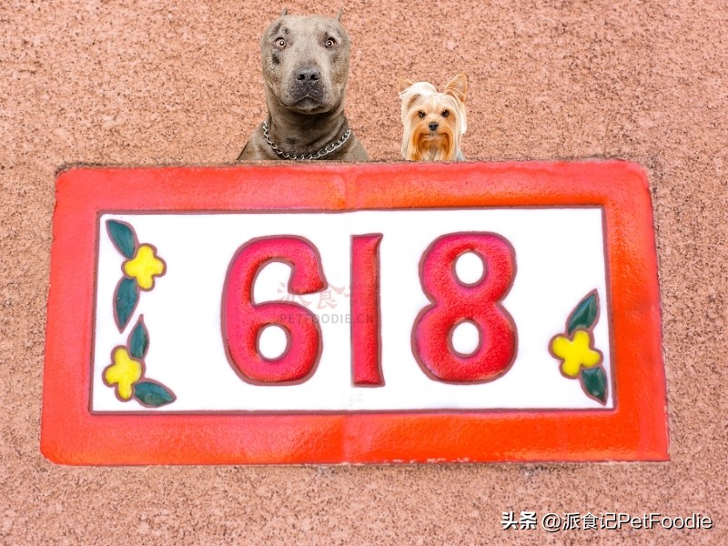 宠物食品行业销售策略,宠物食品营销渠道分析