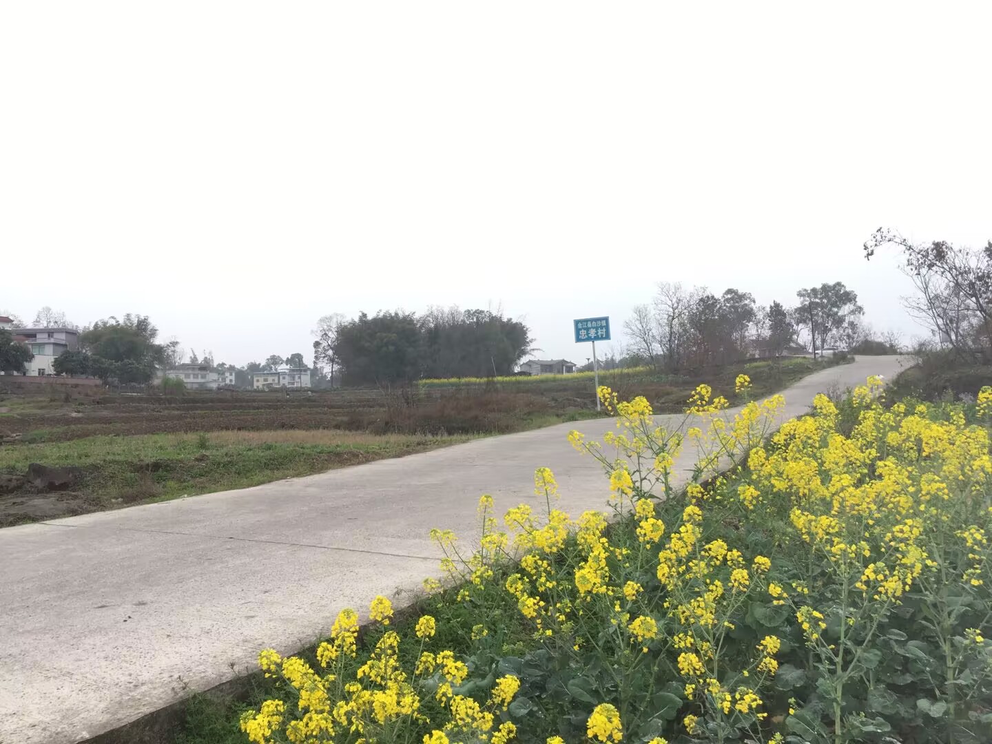 永川九层岩,永川与江津交界的山