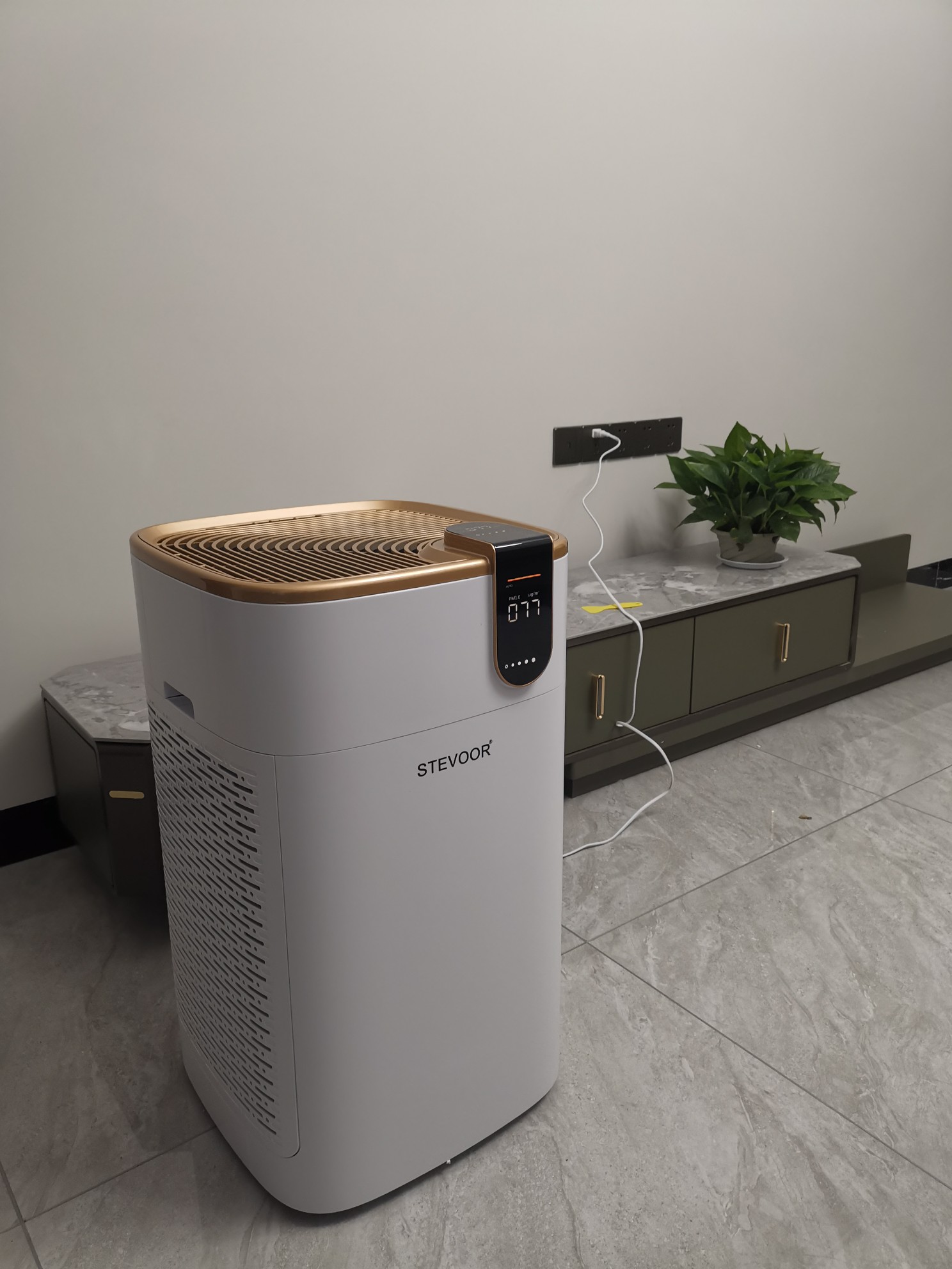 去甲醛最有效的植物,植物去甲醛最快有效