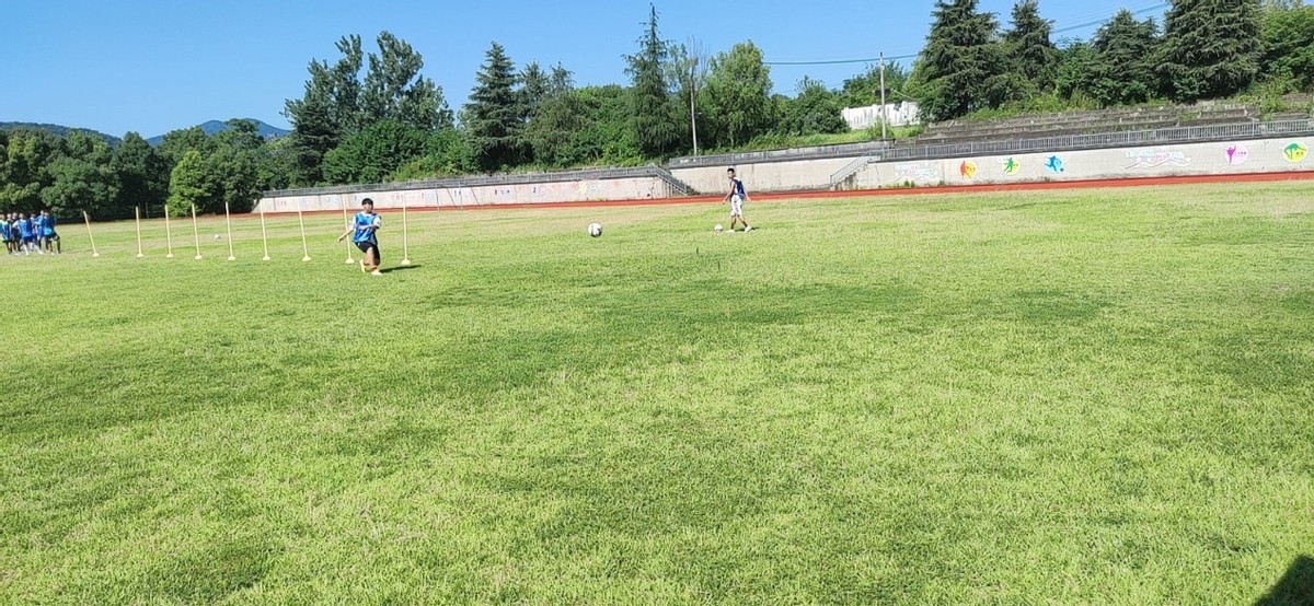 鄂州市秋林高中昂首阔步走特色发展之路