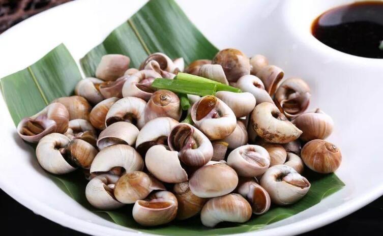 什么季节吃皮皮虾最肥美,哪个季节最适合吃皮皮虾