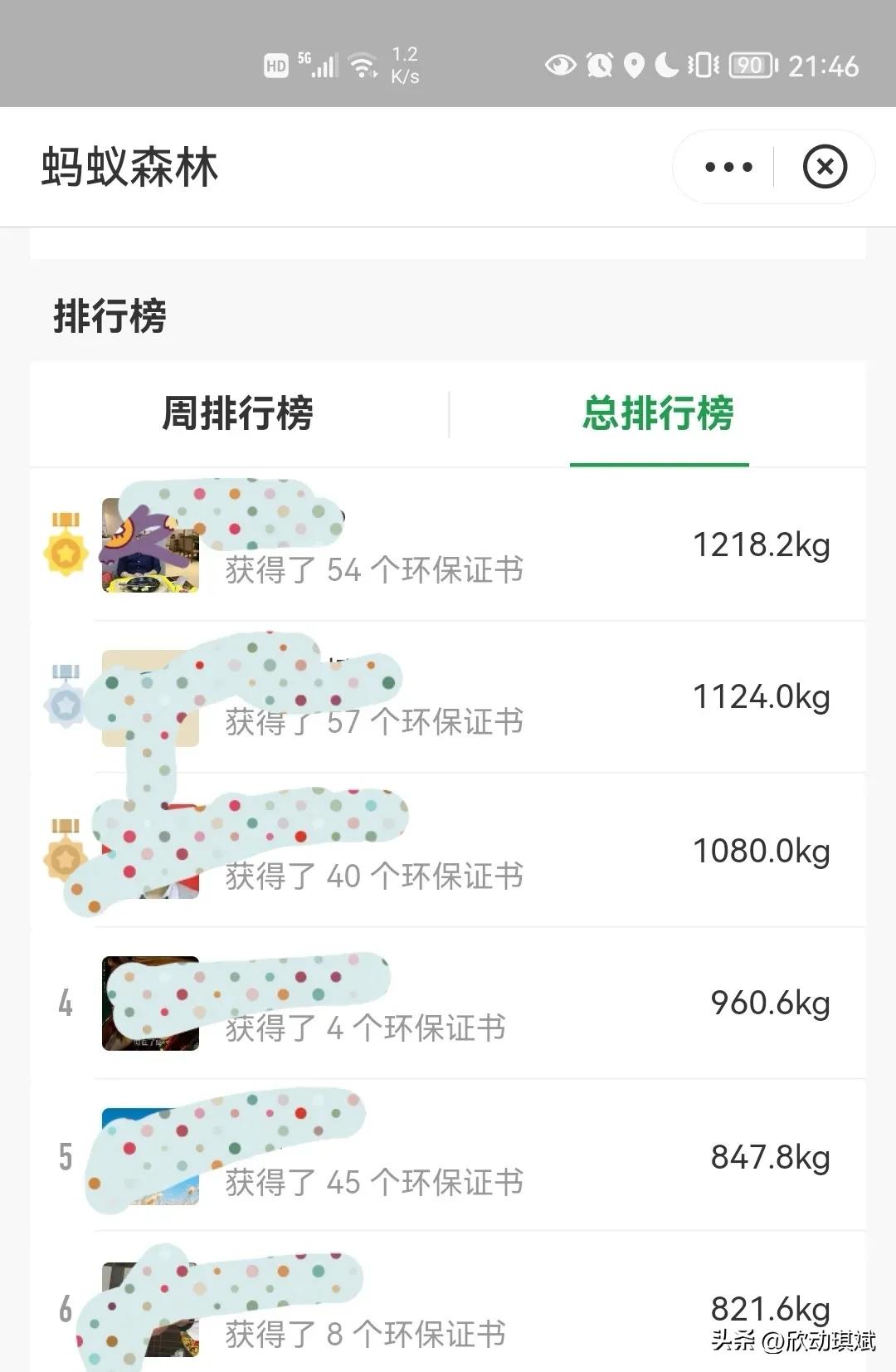 支付宝蚂蚁森林步数在哪设置,支付宝蚂蚁森林