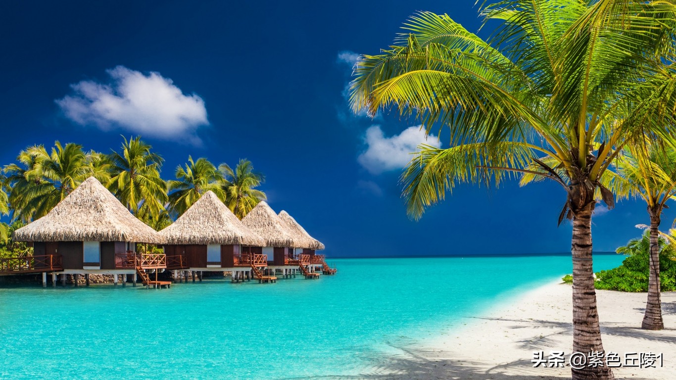 南亚国家外交活动,中国南亚多国