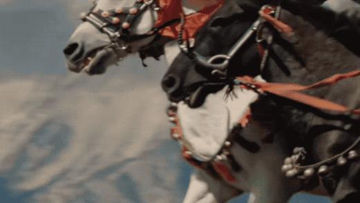 锋菲20年前,锋菲重逢