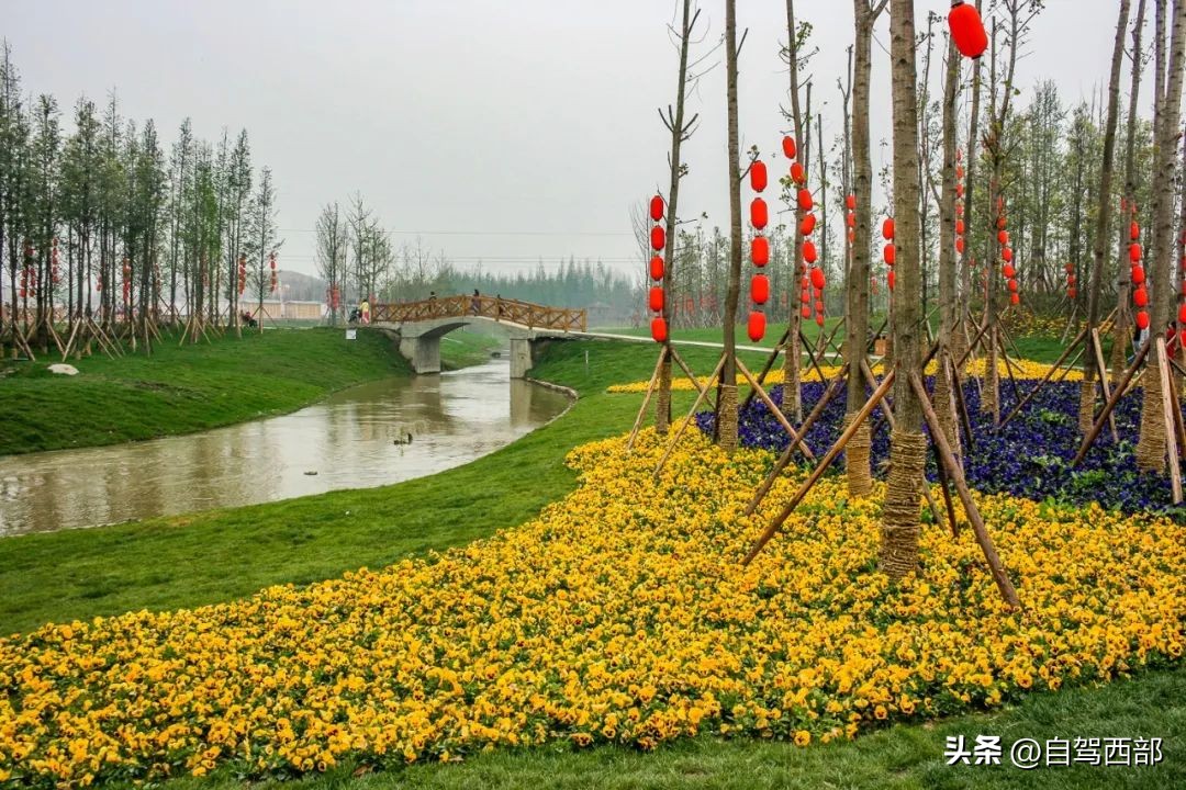 成都兴隆湖湿地公园在哪个区,成都桤木河湿地公园旅游攻略