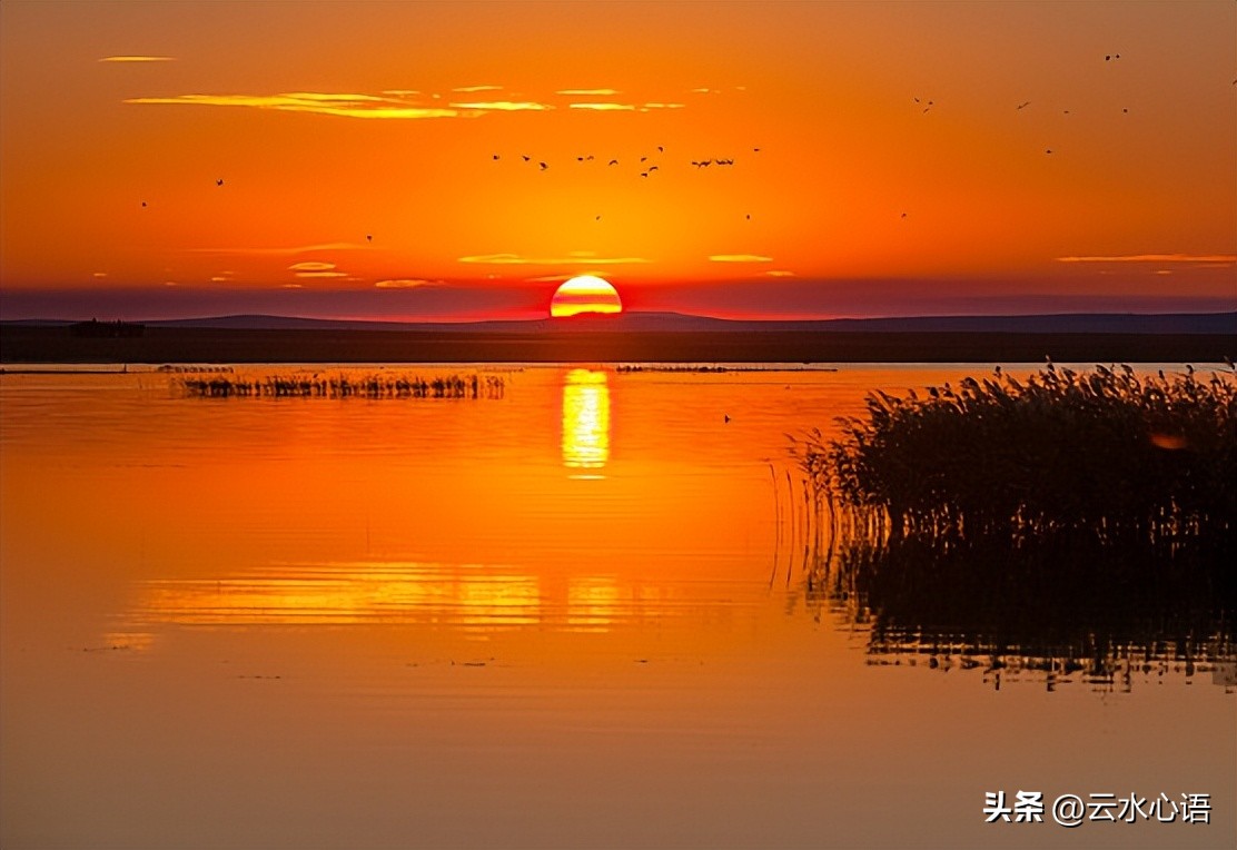 韩愈的早春美景诗句,韩愈的绝美诗句