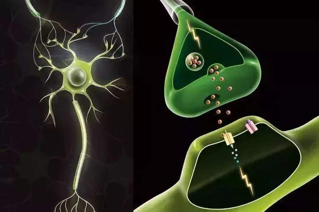 臭氧脑梗,烟酒都戒了还有什么戒不了