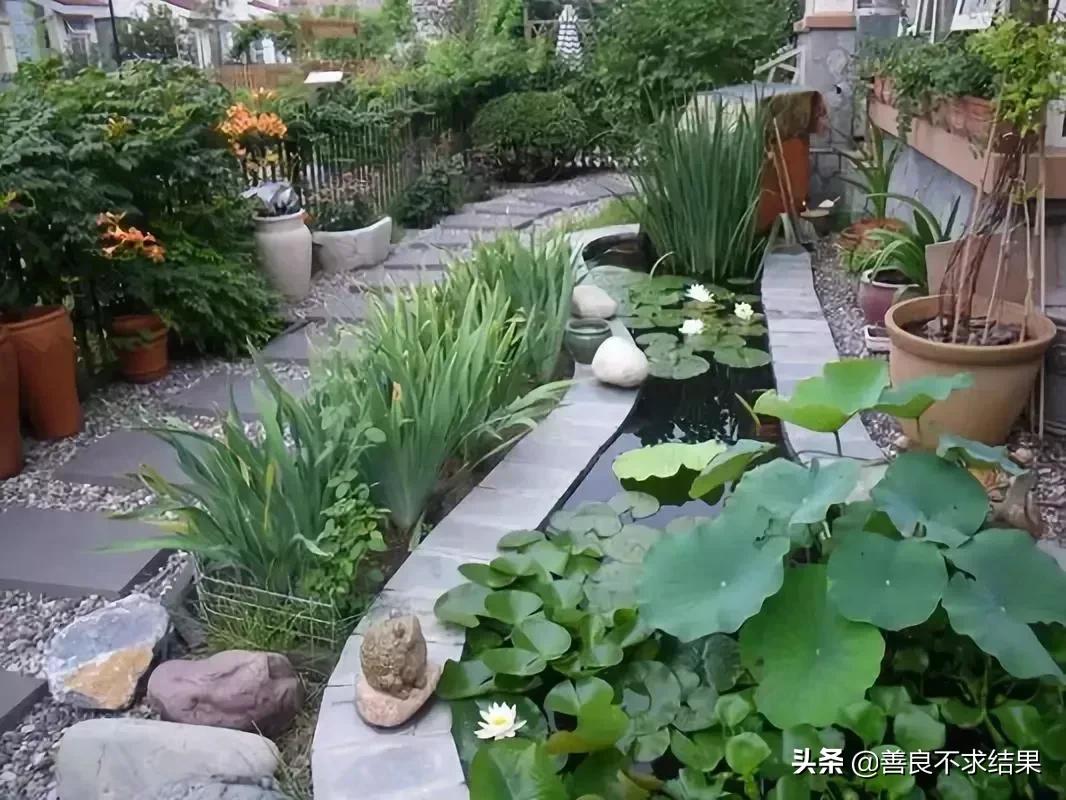 古朴的“农家小院”,总是备受人们喜爱