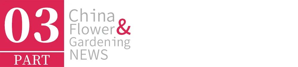 德国疫情带来的变化,德国园艺市场趋势