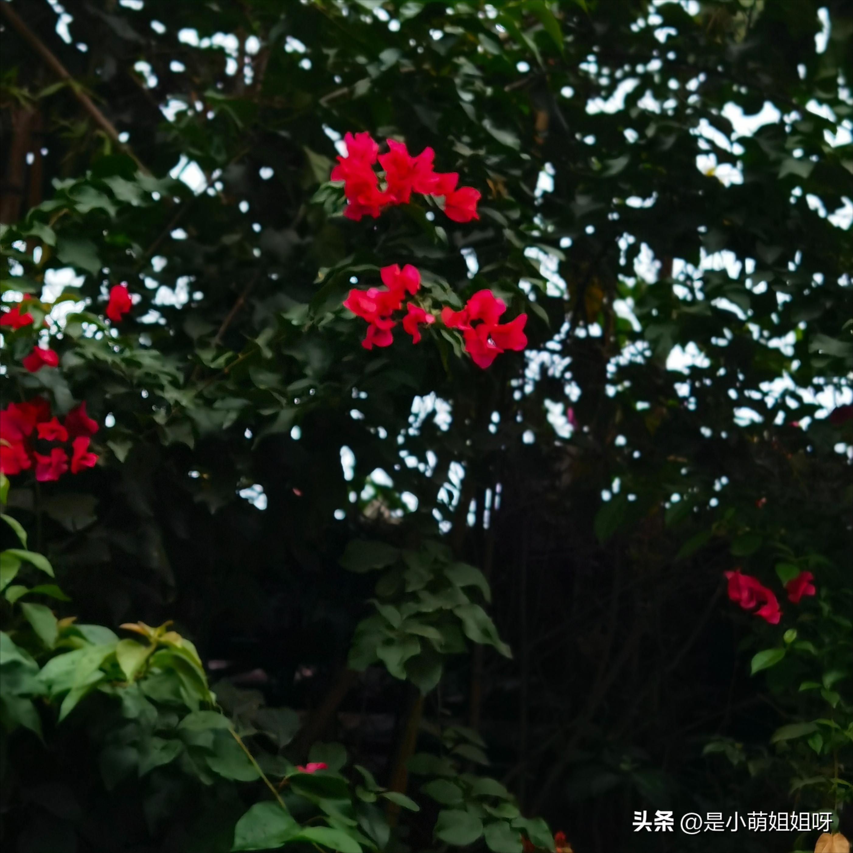 2023已过半,我赚到了19万,原来半年的时间可以做成这么多事