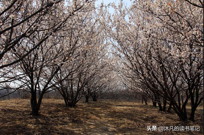 秋天郑州挖野菜的好去处,郑州挖野菜的好去处