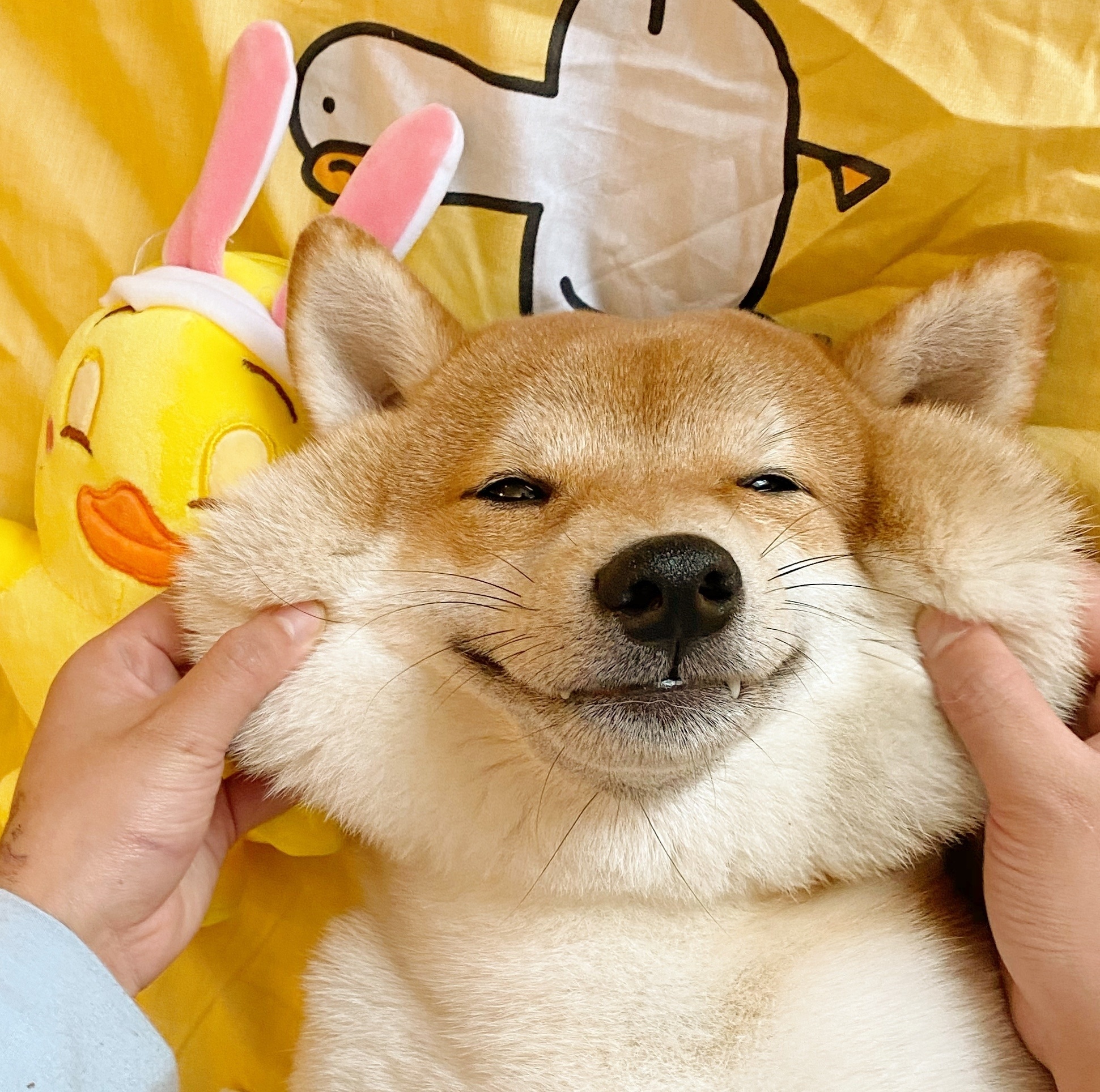 夸人的彩虹屁文案超长沙雕,发自拍搞笑文案沙雕朋友圈