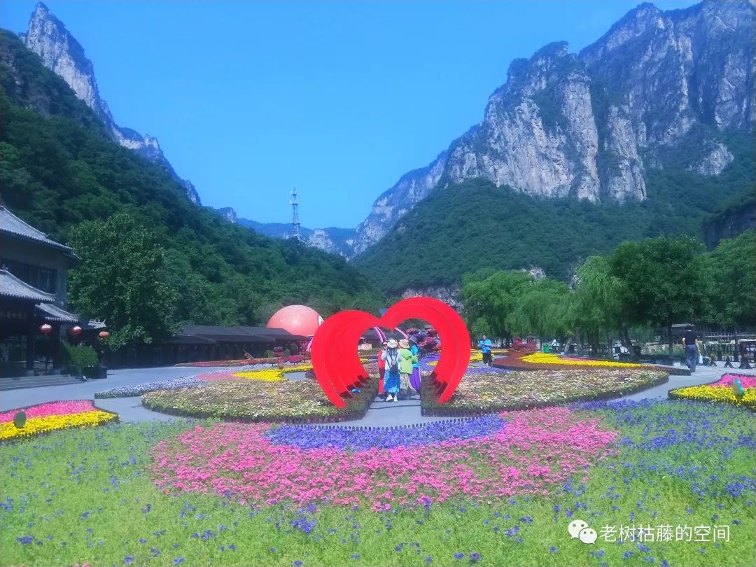 旅游的游繁体字,旅游的游踪