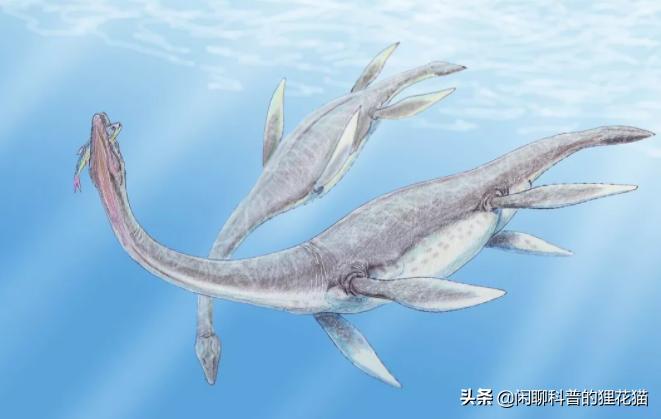 寒武纪三叶虫捕食者,十大最可怕的史前海洋巨兽