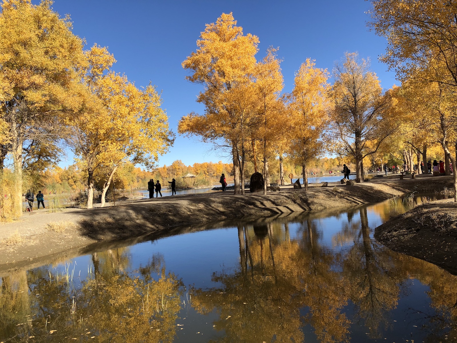 北京自驾额济纳胡杨林十天攻略,从北京到额济纳胡杨林线路