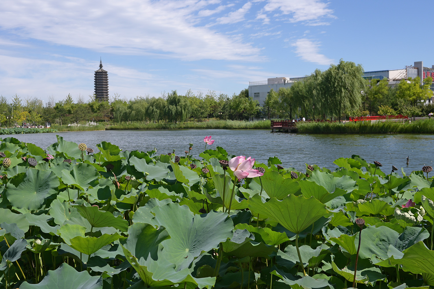 2023佳能r10还能原价买吗,r10佳能上新价