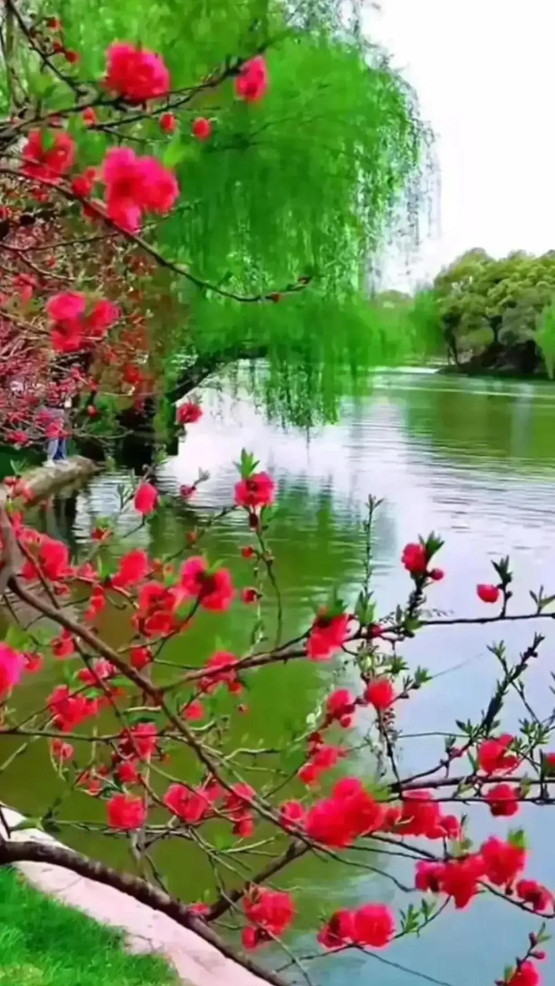 2023年03月03日星期五农历：癸卯年【兔年】二月十二八九第9天